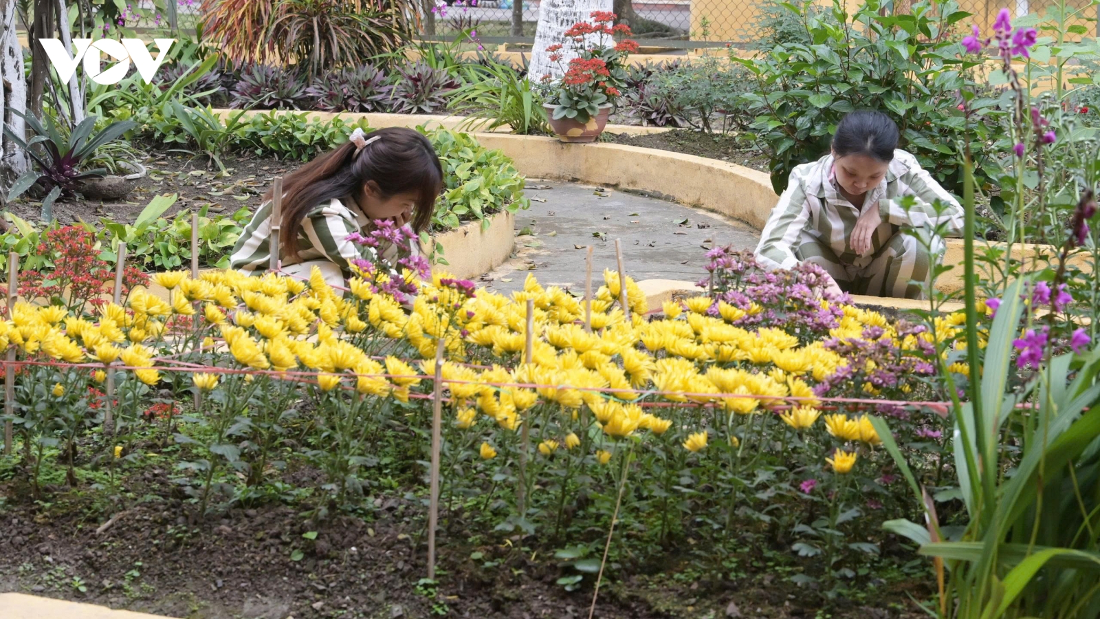 Chăm lo Tết trong trại giam Xuân Nguyên để phạm nhân có thêm động lực cải tạo